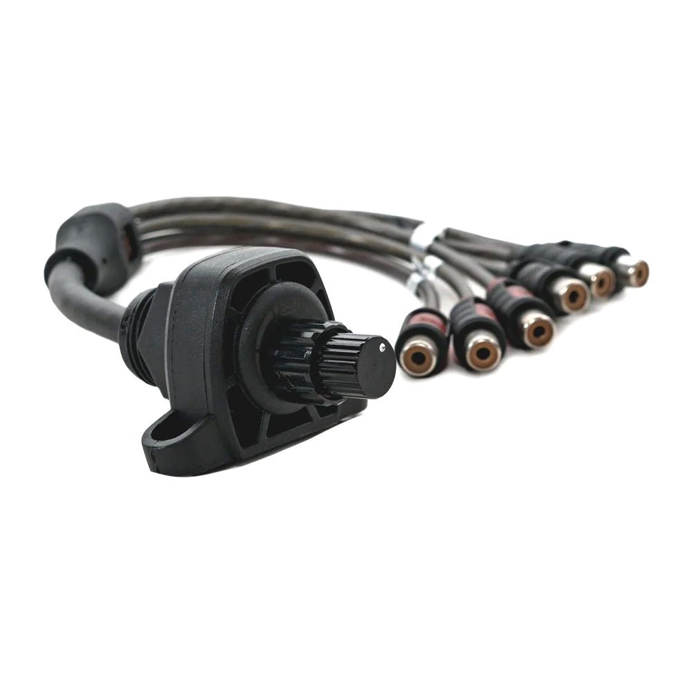 Roswell Dual Zone Volume Control [C920 - 0300] - Houseboatparts.com