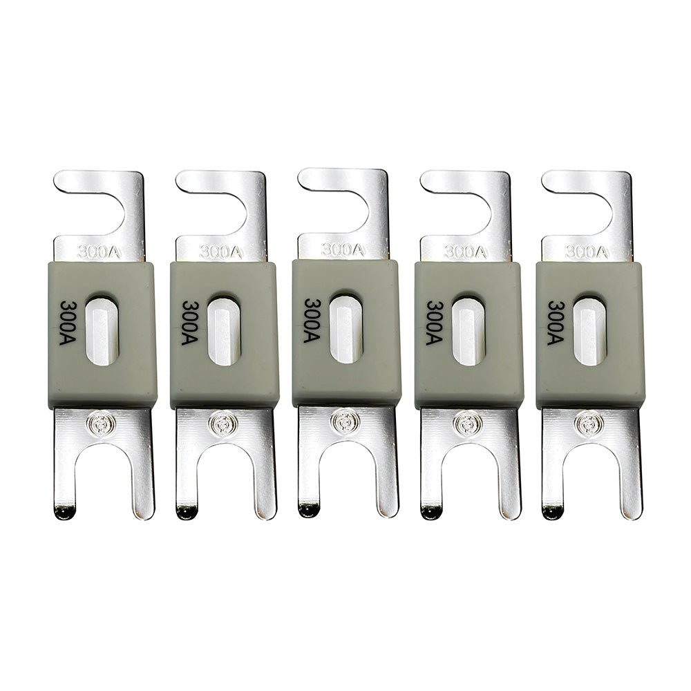 Victron ANL - Fuse 300A/80V f/48V Products (Package of 5) [CIP143300020] - Houseboatparts.com