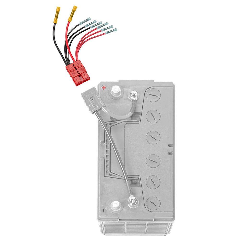 Connect - Ease Multi 4 Lead Accessory f/Main Battery [RCE12VB4] - Houseboatparts.com