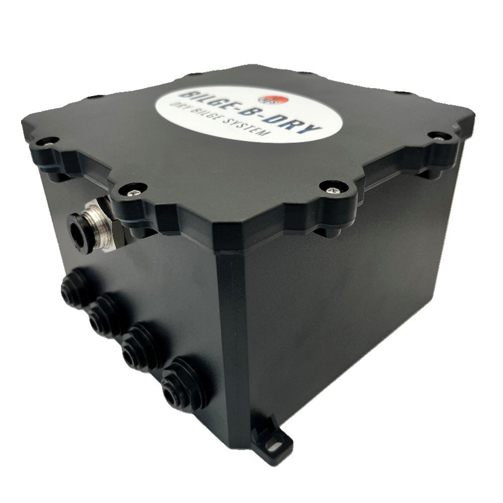 BILGE - B - DRY Quad Pump 12VDC [BBD - 2025 - 124] - Houseboatparts.com