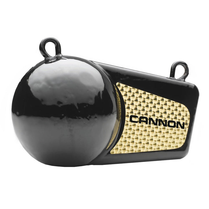 Cannon 12lb Flash Weight [2295190] - Houseboatparts.com