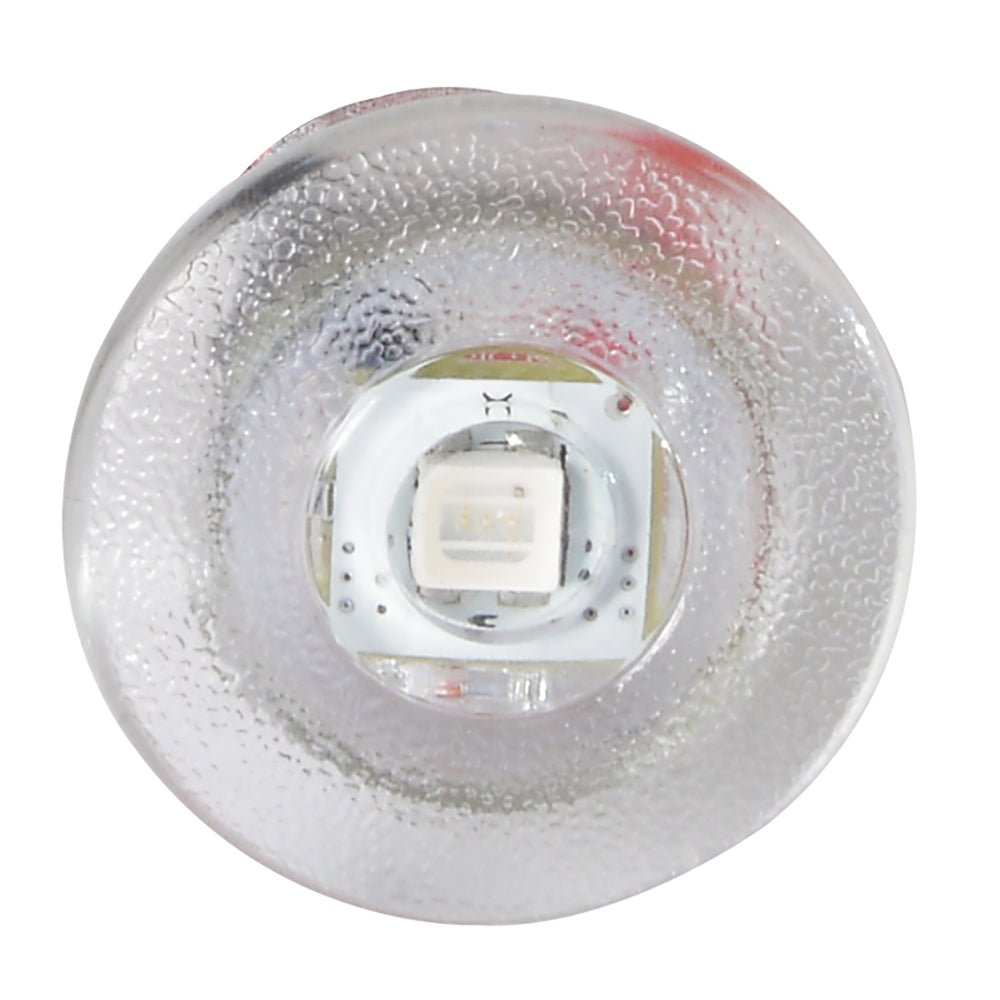 Lumitec Newt - Livewell & Courtesy Light - Red Dimming [101086] - Houseboatparts.com