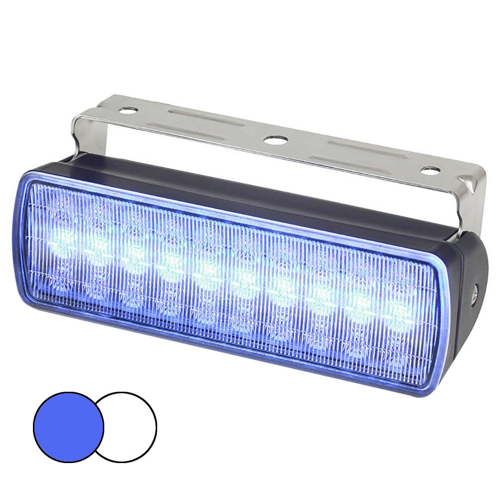 Hella Marine Sea Hawk XL Dual Color LED Floodlights - Blue/White LED - Black Housing [980950061] - Houseboatparts.com