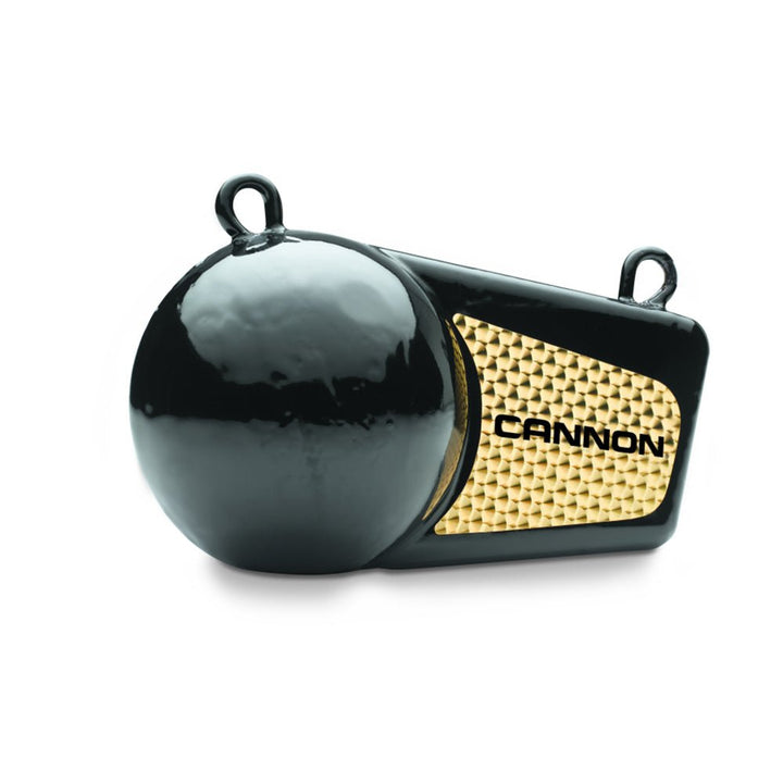 Cannon 16 LB Flash Weight [1908016] - Houseboatparts.com