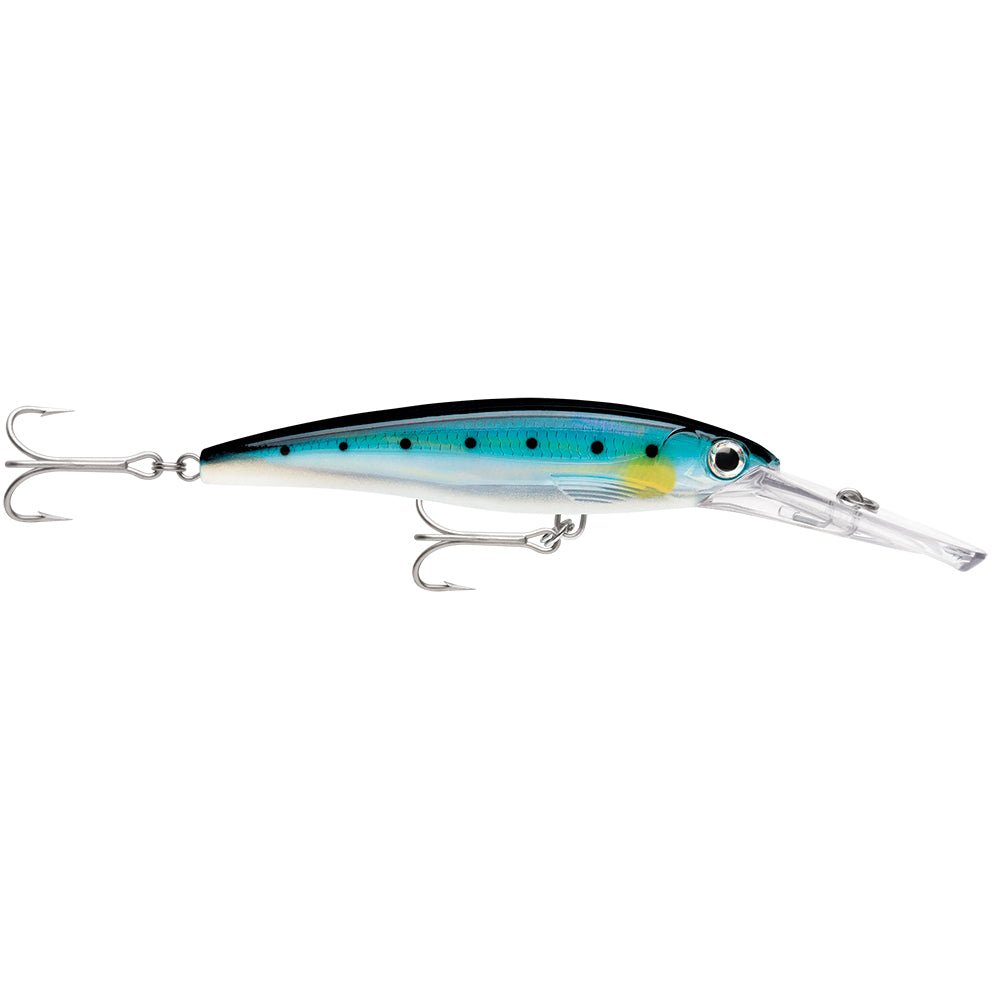 Rapala X-Rap Magnum 15 Blue Sardine [XRMAG15BSRD] - Houseboatparts.com