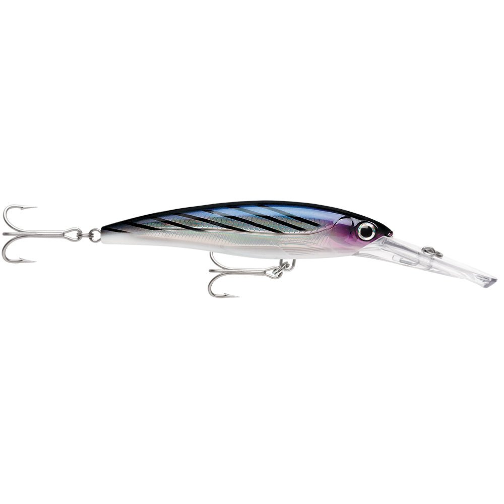 Rapala X-Rap Magnum 15 Bonito [XRMAG15BTO] - Houseboatparts.com