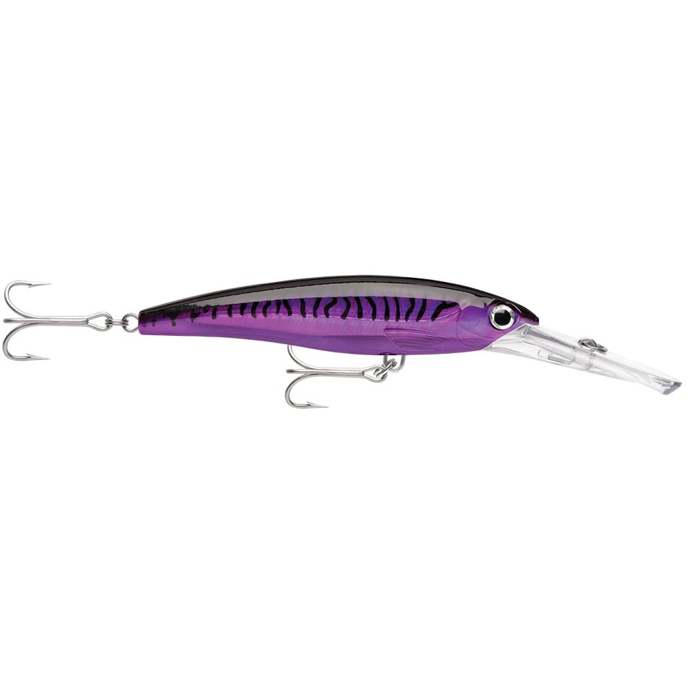 Rapala X-Rap Magnum 15 Purple Mackerel [XRMAG15PM] - Houseboatparts.com