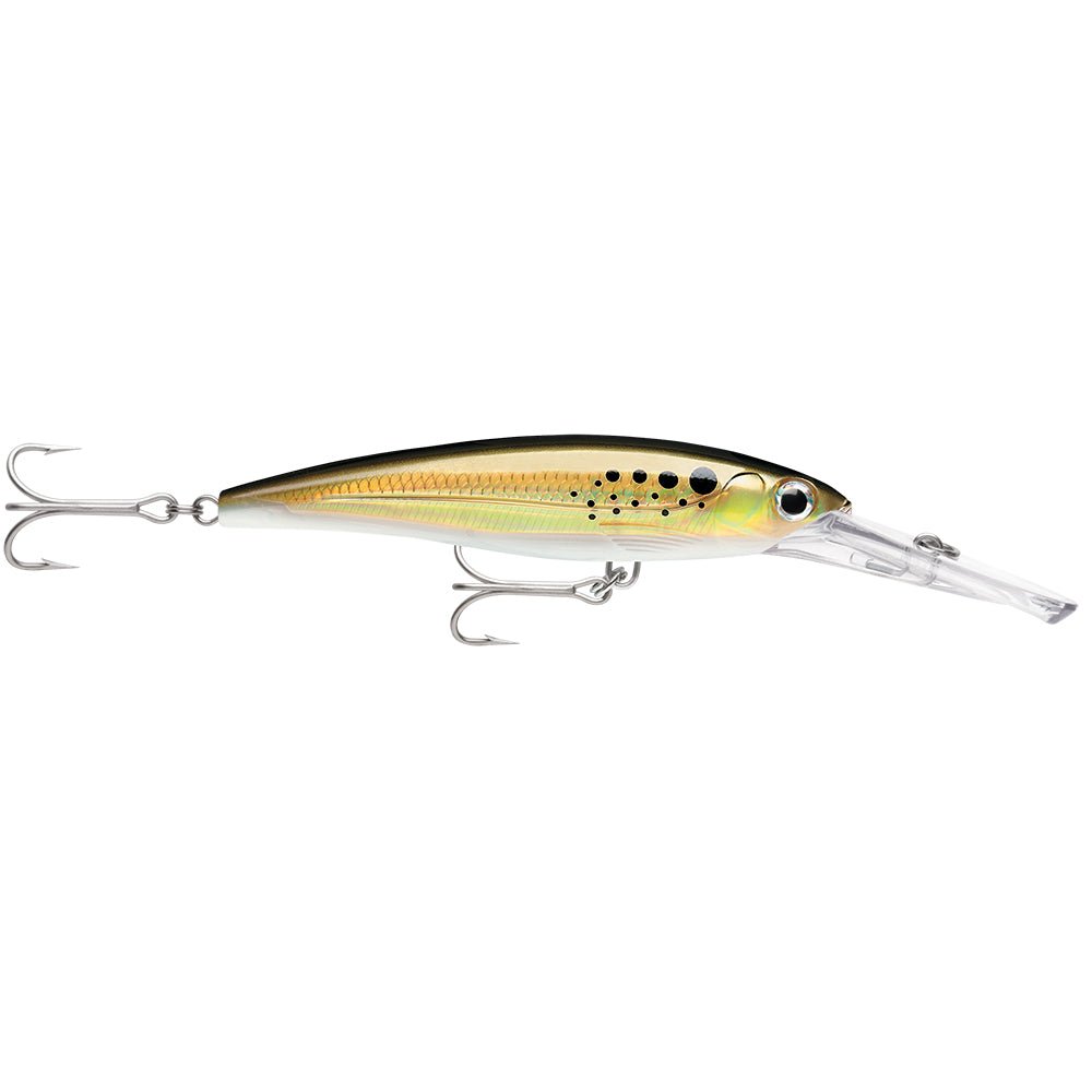 Rapala X-Rap Magnum 20 Bunker [XRMAG20BNK] - Houseboatparts.com