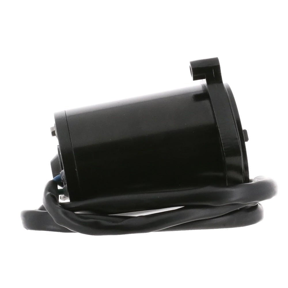 ARCO Marine Replacement Outboard Tilt Trim Motor - Late Model Mercury, 2-Wire [6250] - Houseboatparts.com