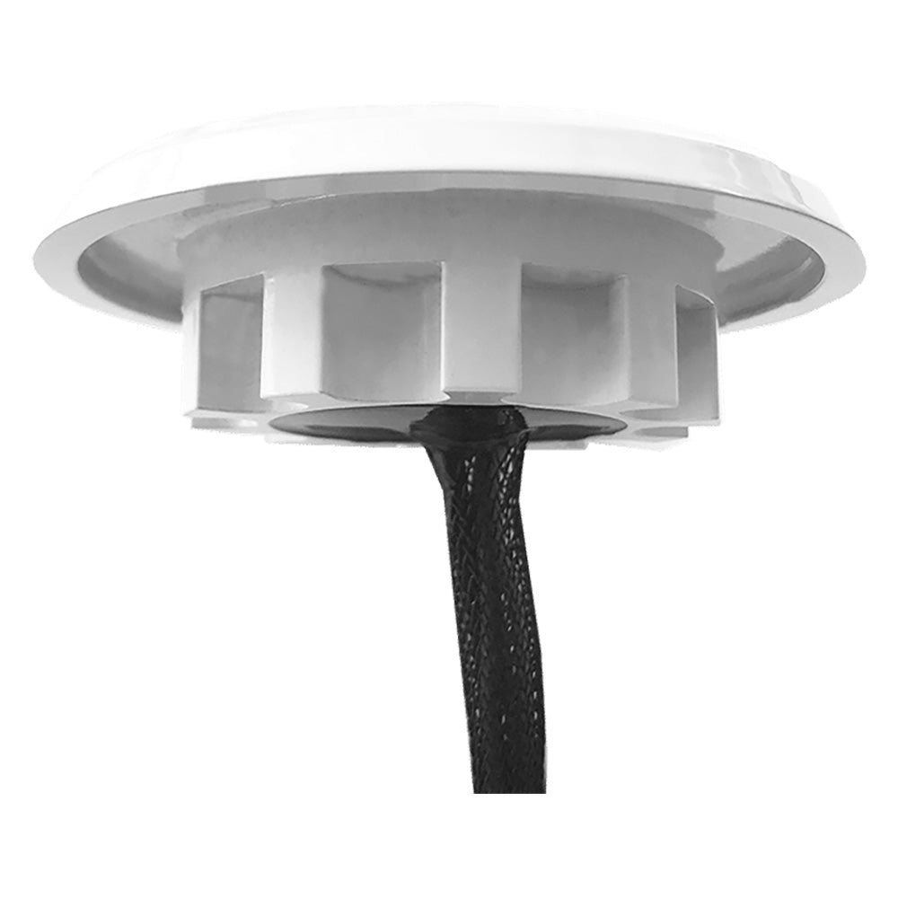 Shadow-Caster Downlight - White Housing - Bimini Blue [SCM-DLXS-BB-WH] - Houseboatparts.com